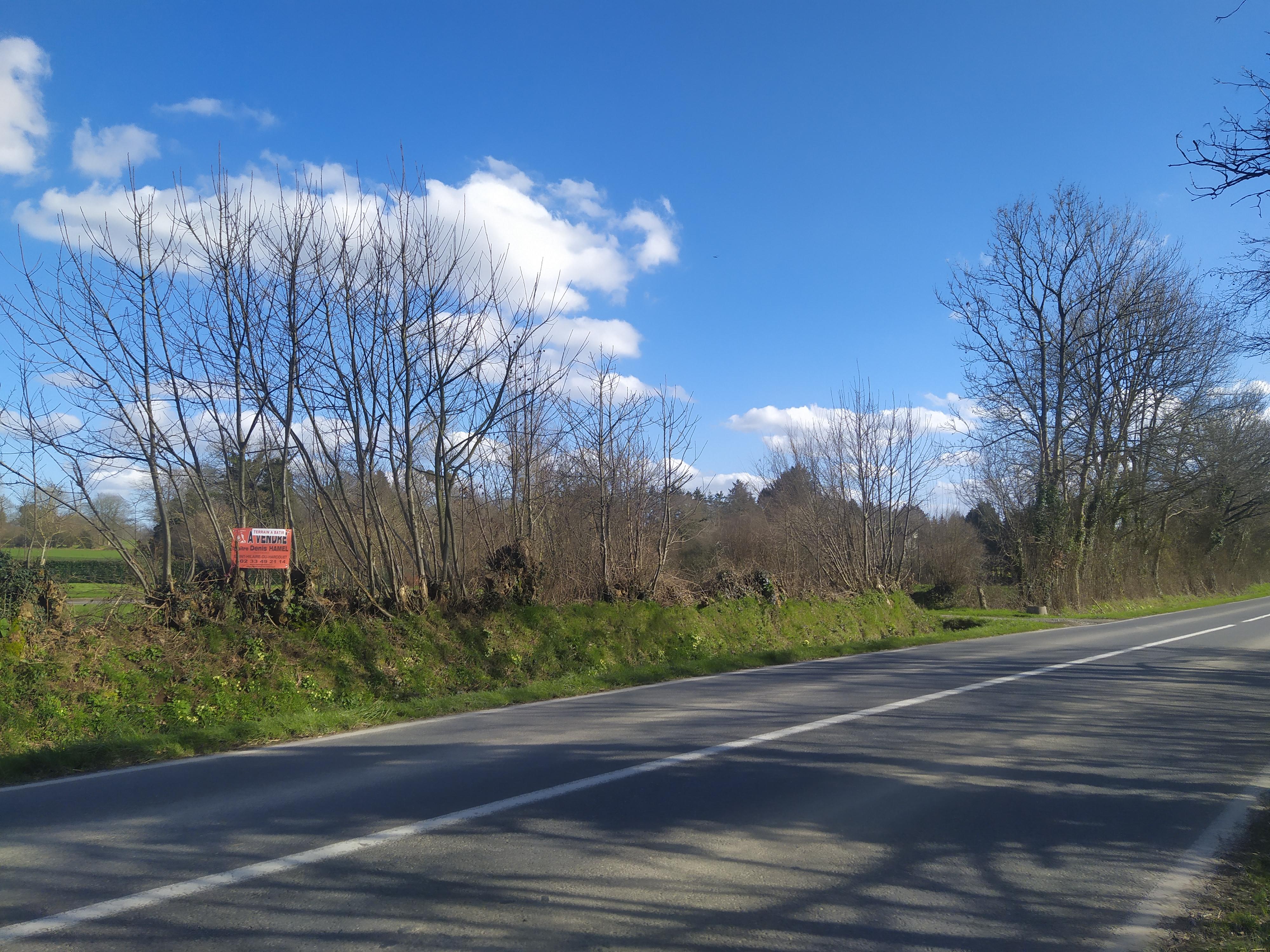terrain en vente LA CHAPELLE URÉE