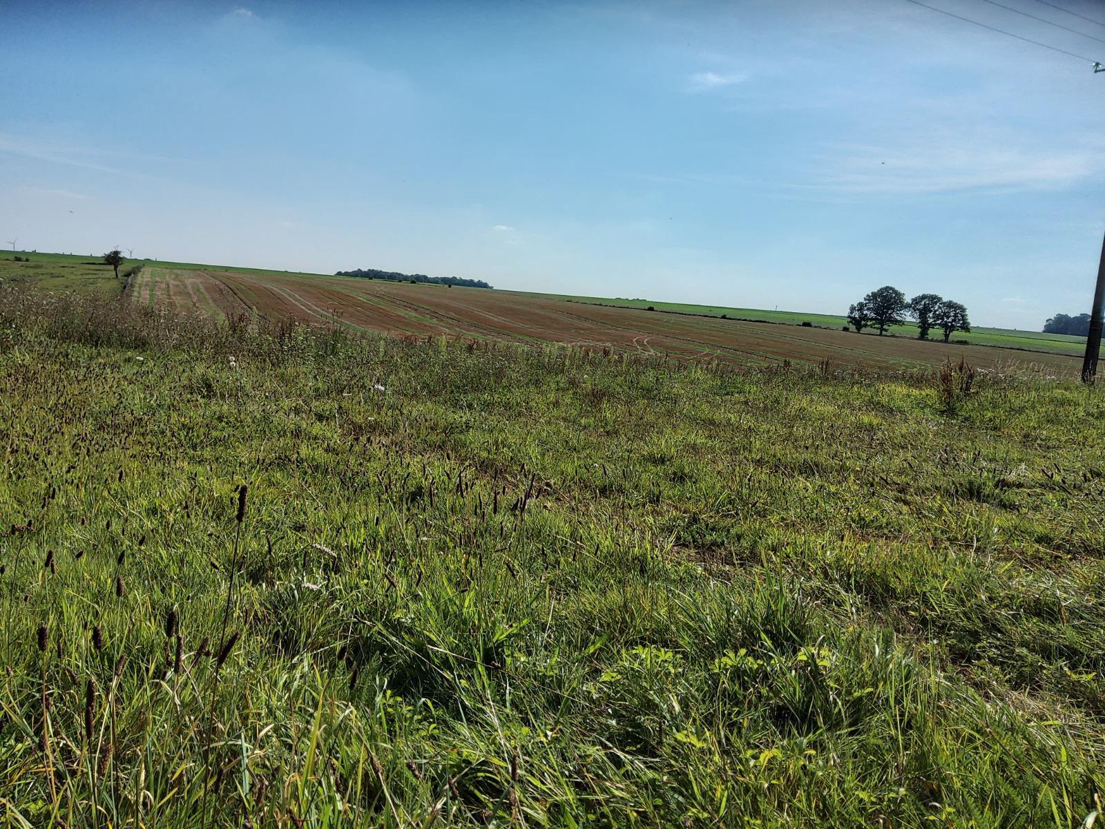 terrain en vente Saint-Aubin-d'Écrosville