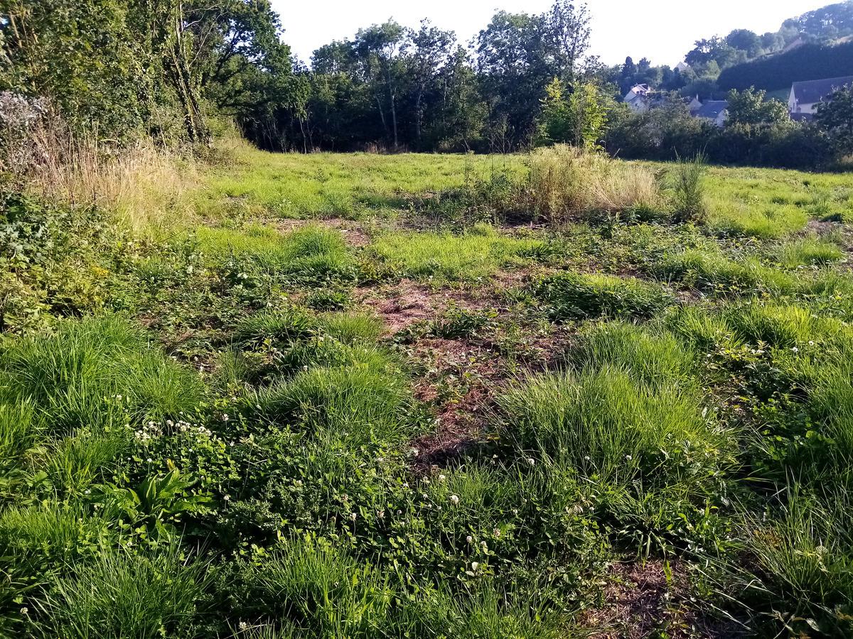 terrain en vente Saint-Gervais-du-Perron