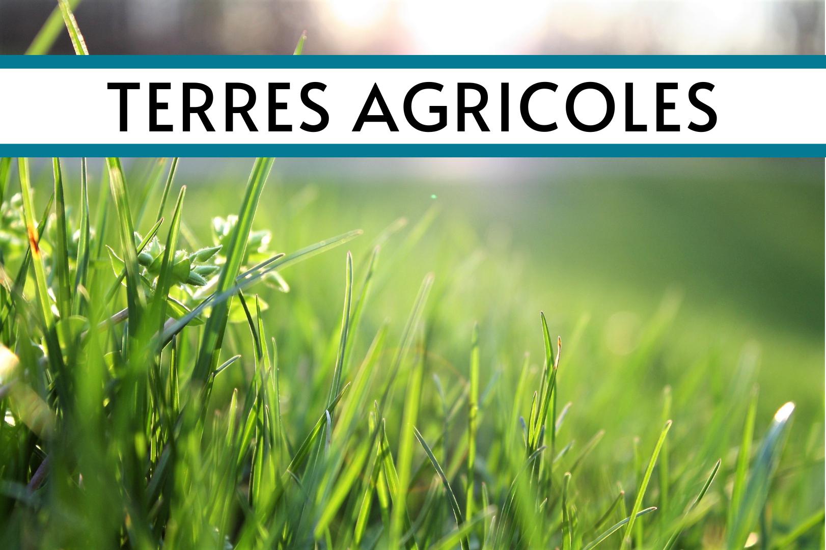 divers en vente FOLLIGNY
