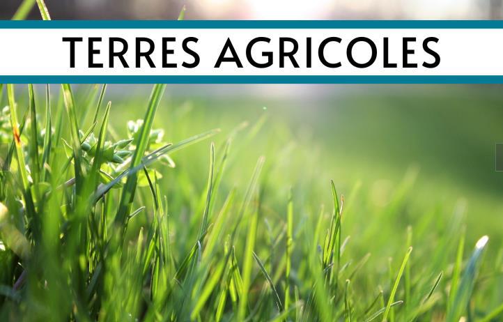 divers en vente CHAMPEAUX