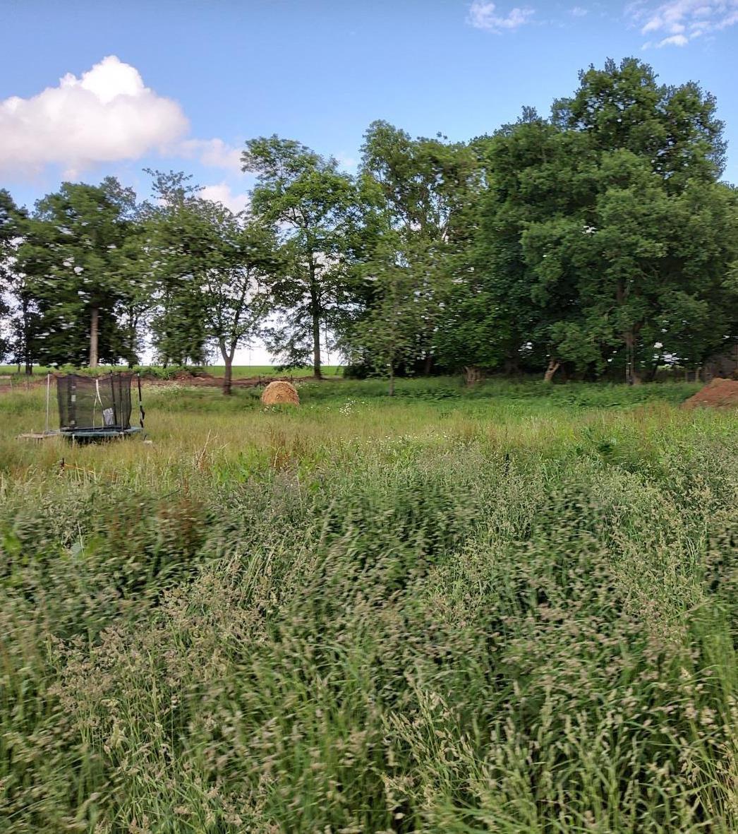 terrain en vente Le Plessis-Sainte-Opportune