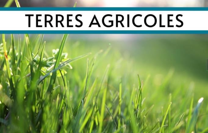 terrain en vente genets