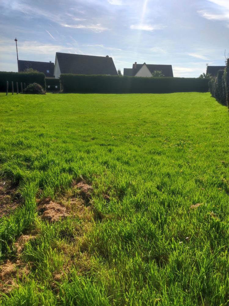 terrain en vente YERVILLE