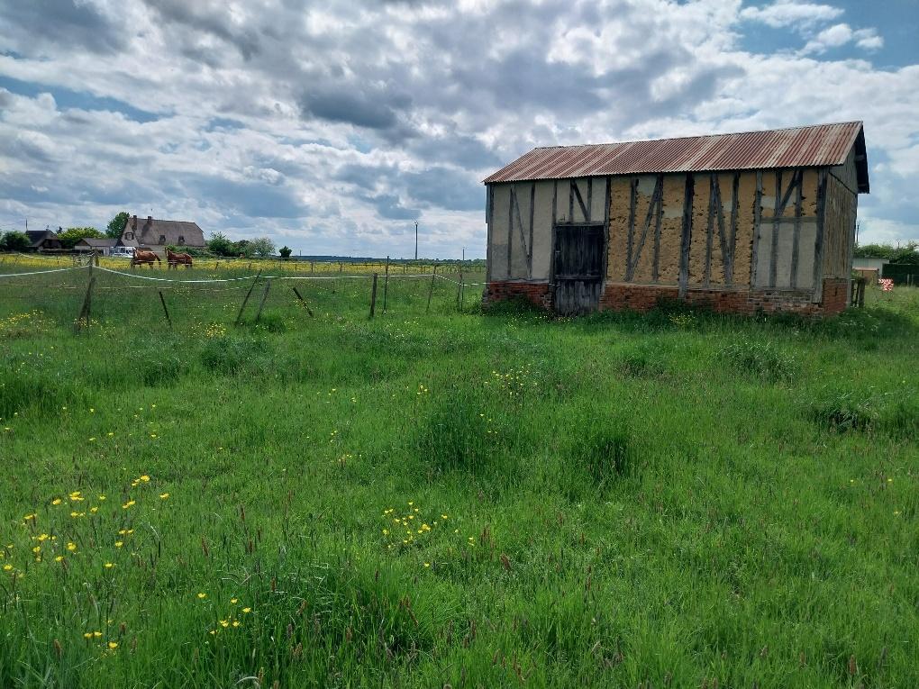 terrain en vente Barquet