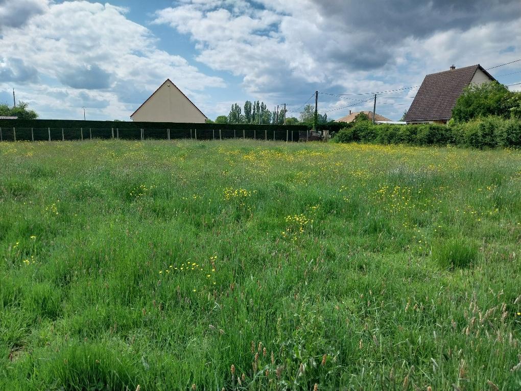 terrain en vente Barquet