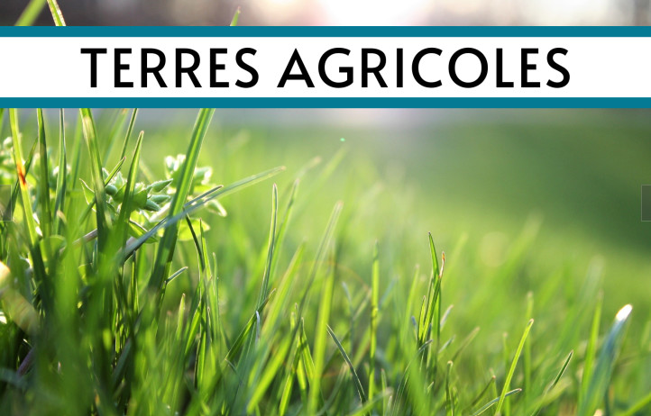 terrain en vente jullouville