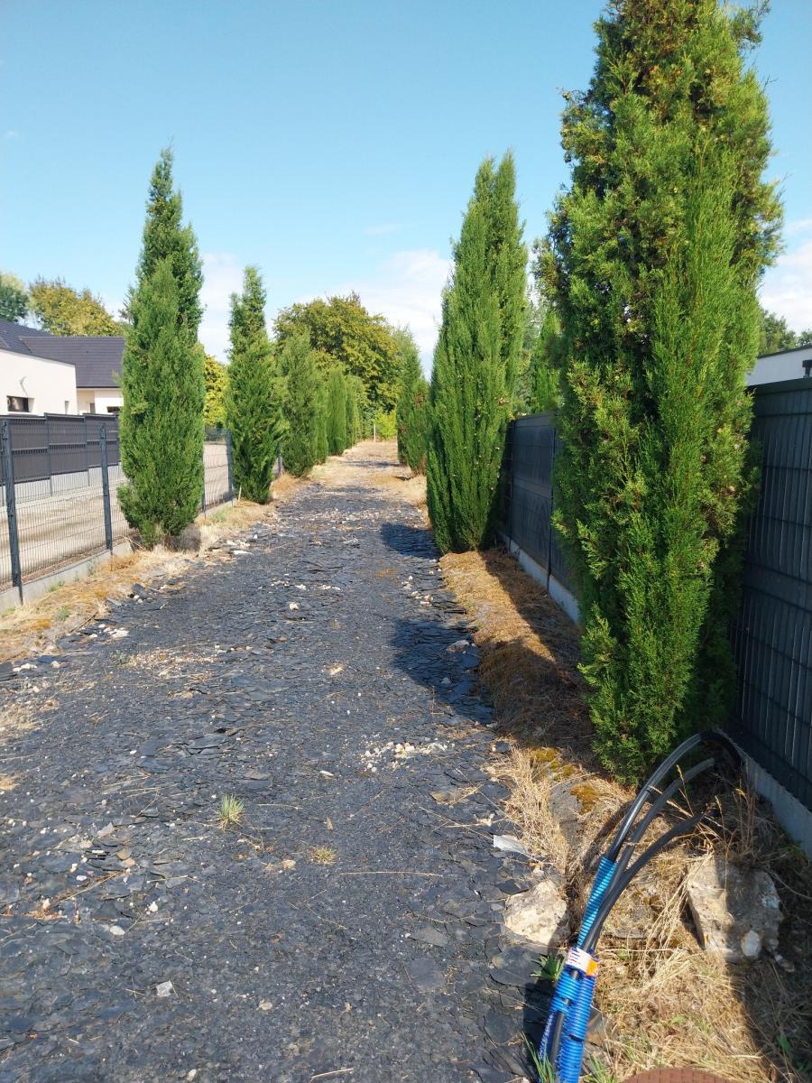 terrain en vente Épreville-près-le-Neubourg