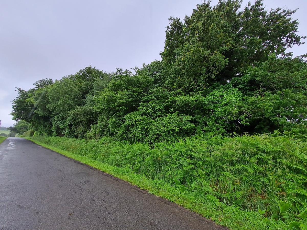 divers en vente Plourin-lès-Morlaix