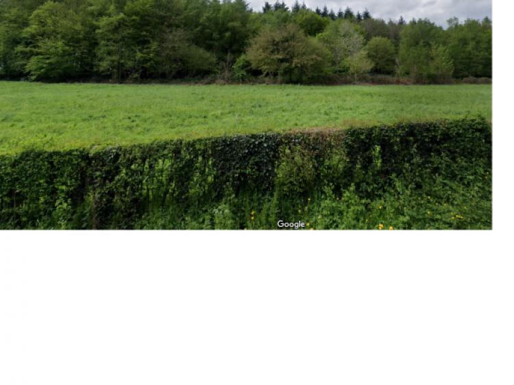 photo Vente Terrain à Bâtir 45000€ CAILLY - 76690