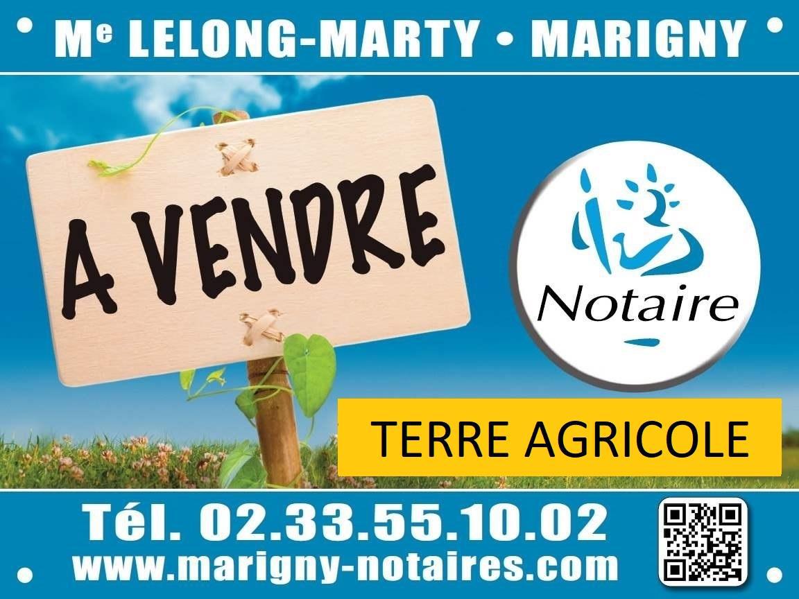 Terrain agricole en vente Montreuil-sur-Lozon