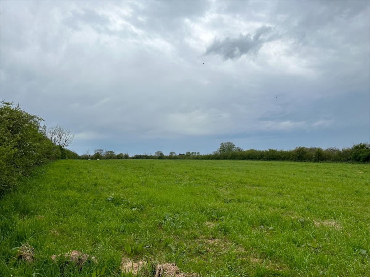 Terrain à vendre Fontenay-sur-mer
