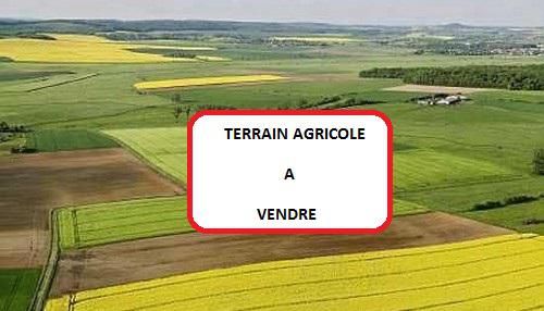 Terrain agricole en vente Bricquebec-en-Cotentin
