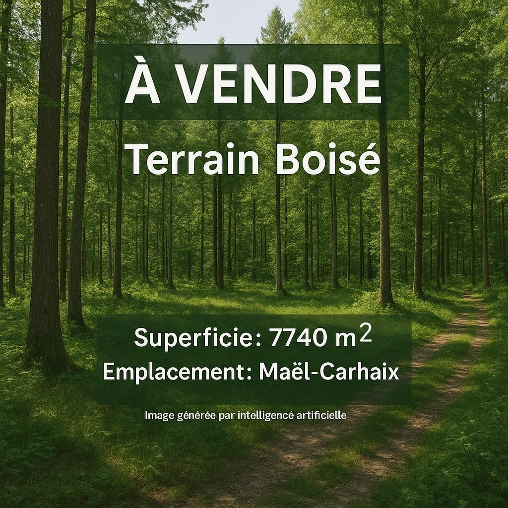 divers en vente Maël-Carhaix