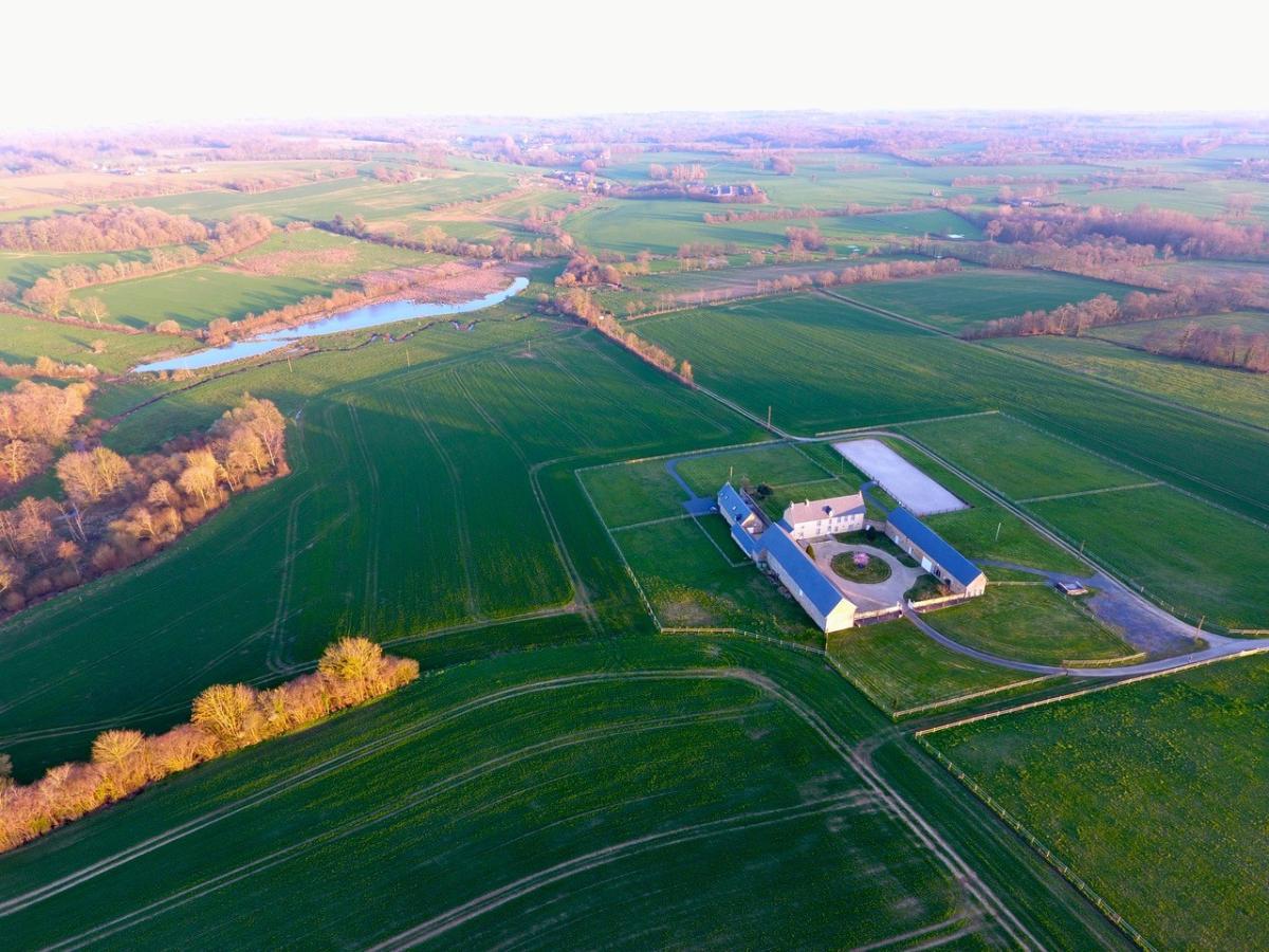 Différentes photos du bien