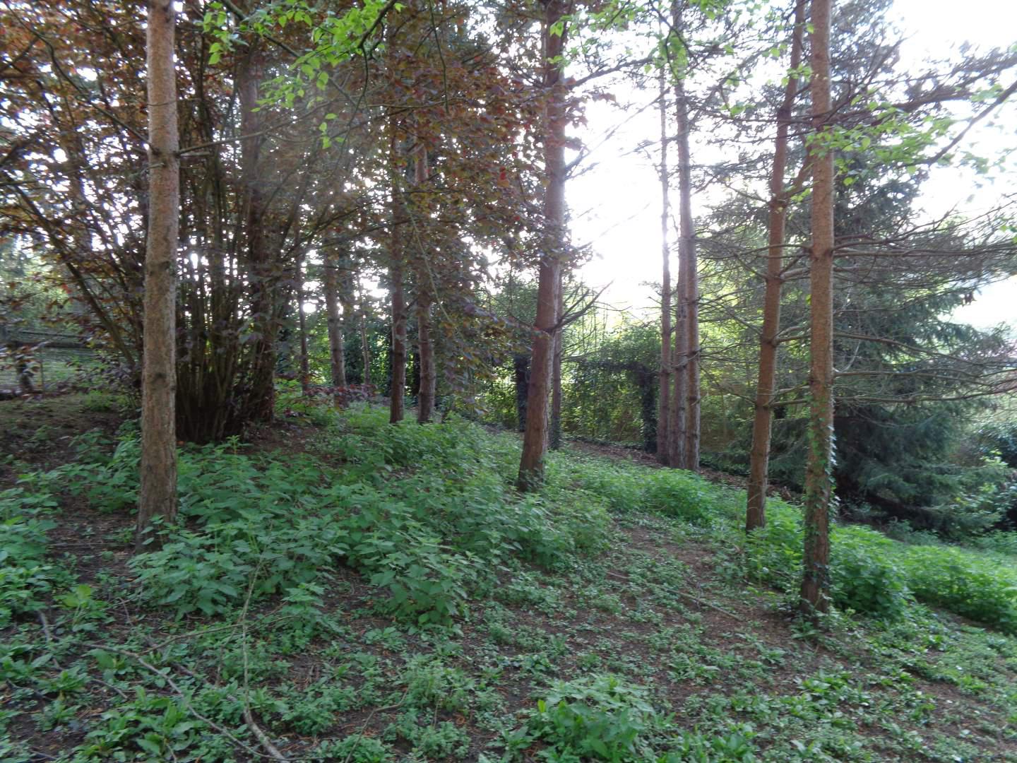 terrain à bâtir
