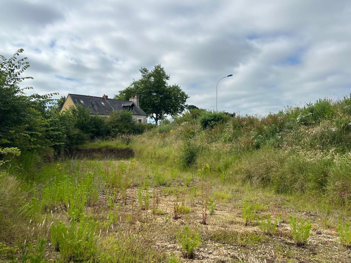 Différentes photos du bien