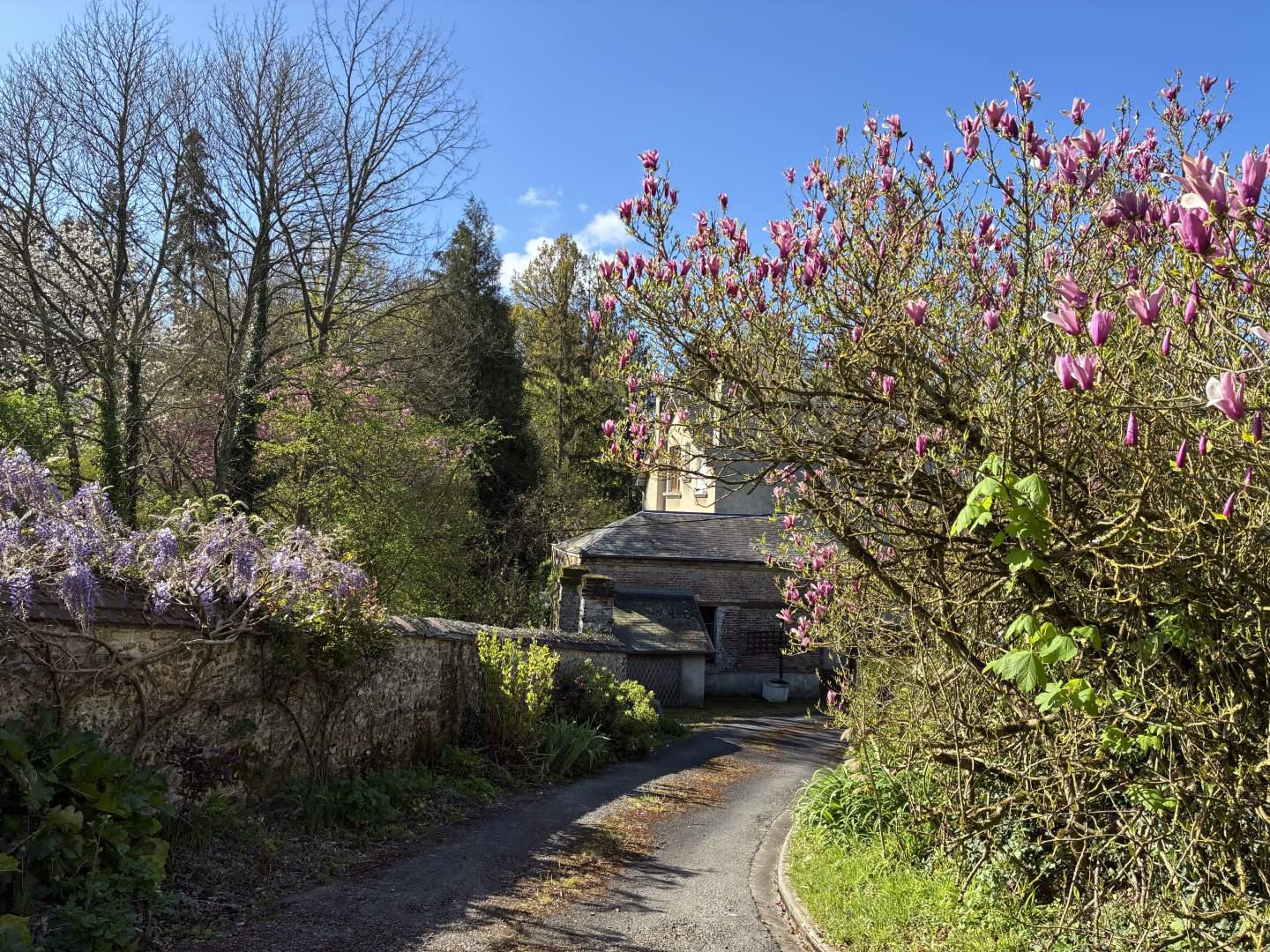 maison