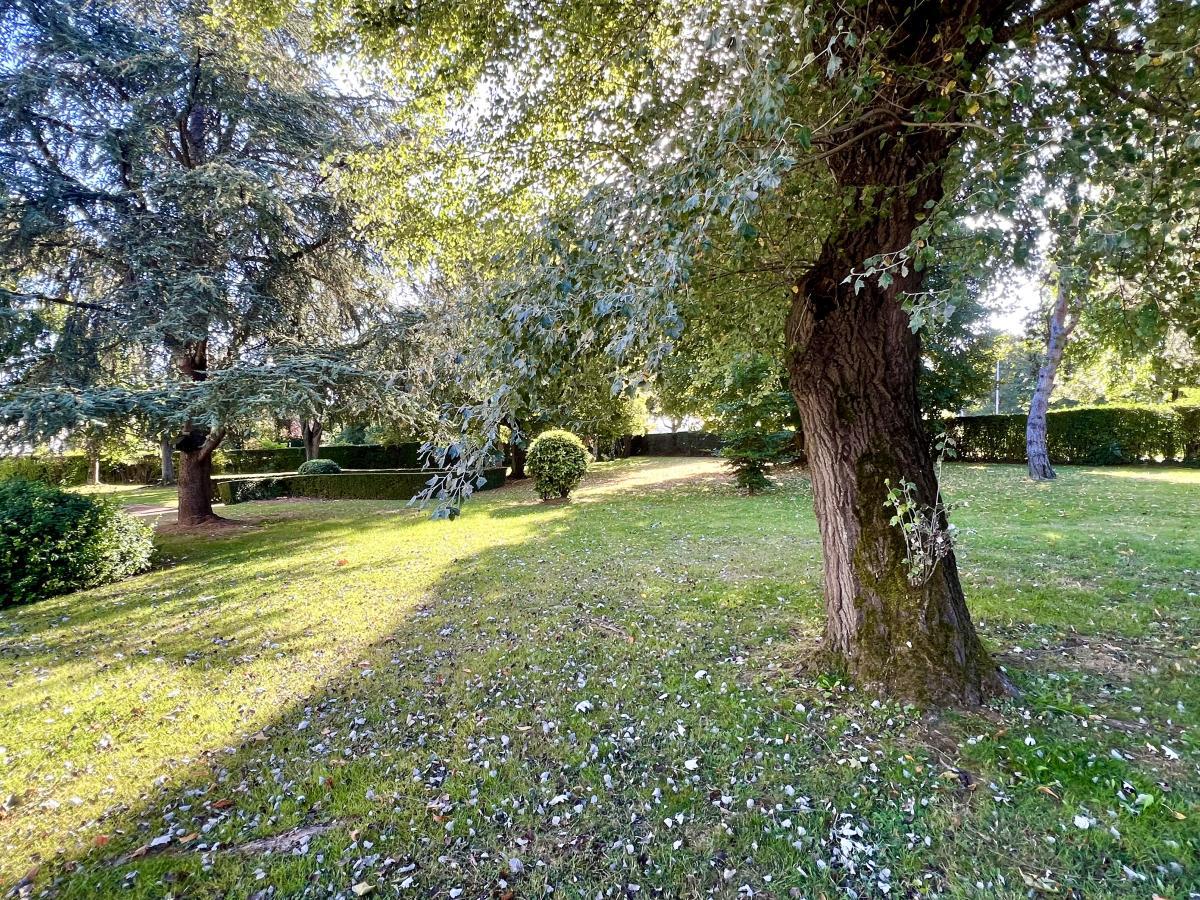 Différentes photos du bien